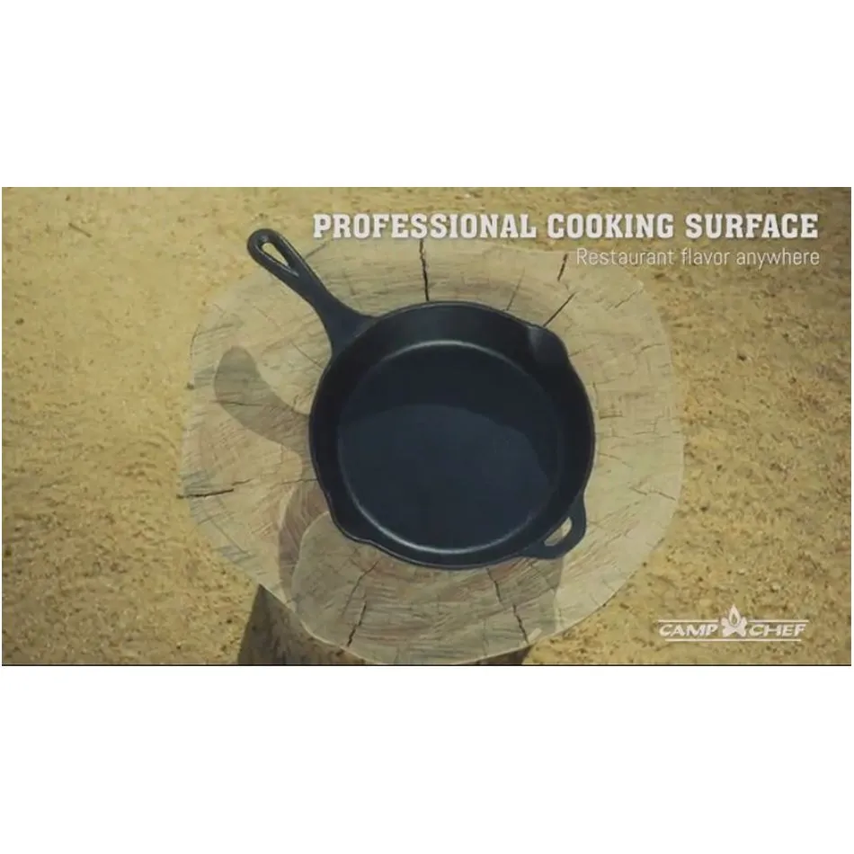SEASONED SKILLET 10